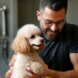 Carlos Patel, Senior Stylist, playing with a poodle.