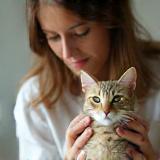 Lily Evans, Pet Health Consultant, petting a cat.